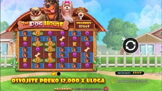 The Dog House Megaways slot oyun ekran görüntüsü